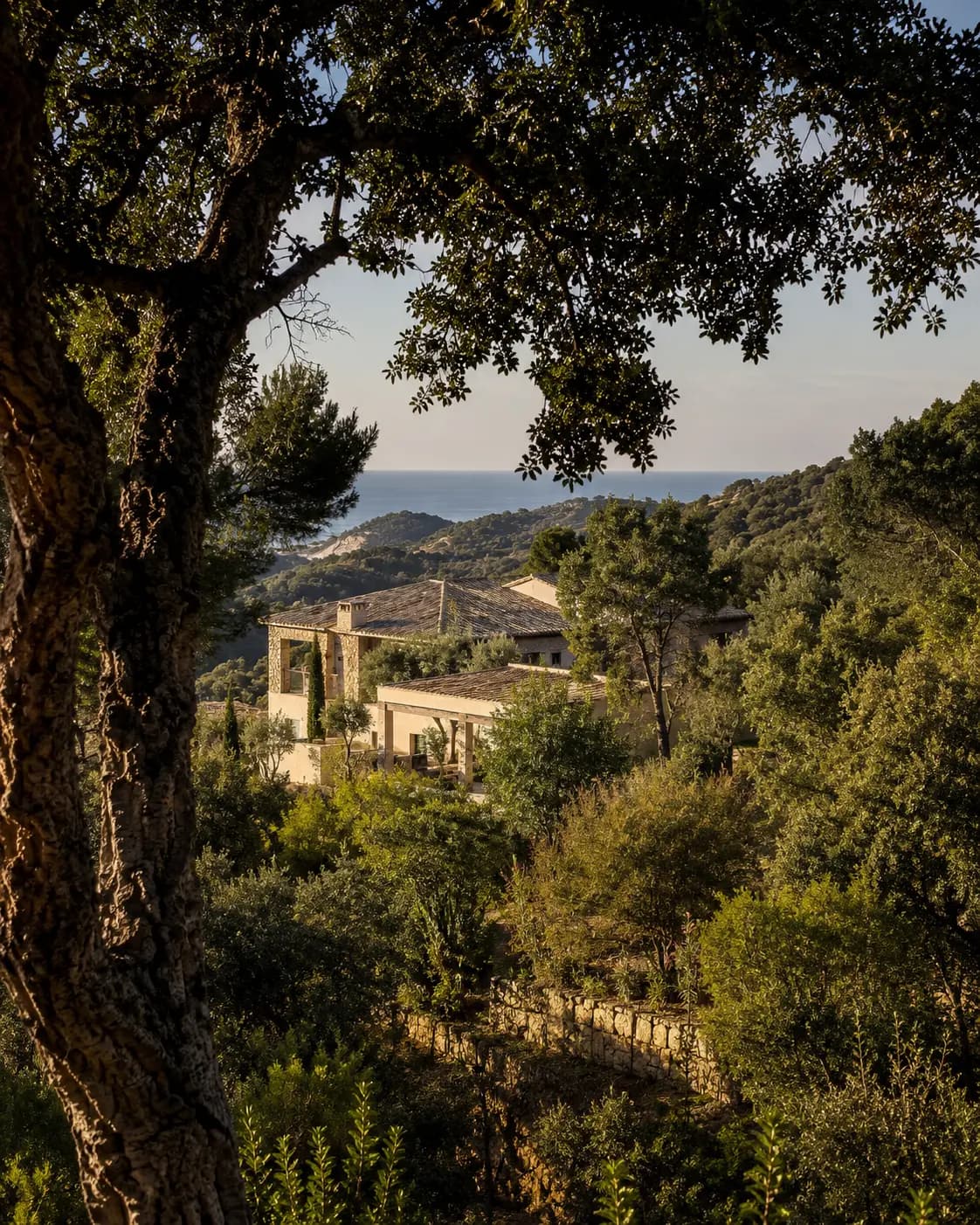 El Madroñal